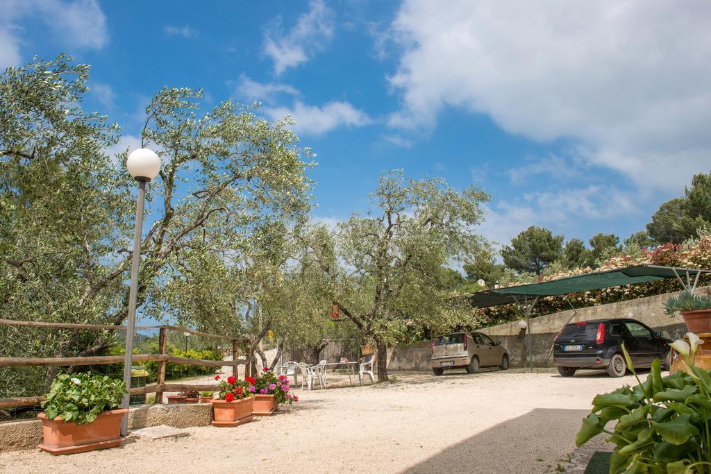 Alba Del Gargano Home 维耶斯泰 外观 照片