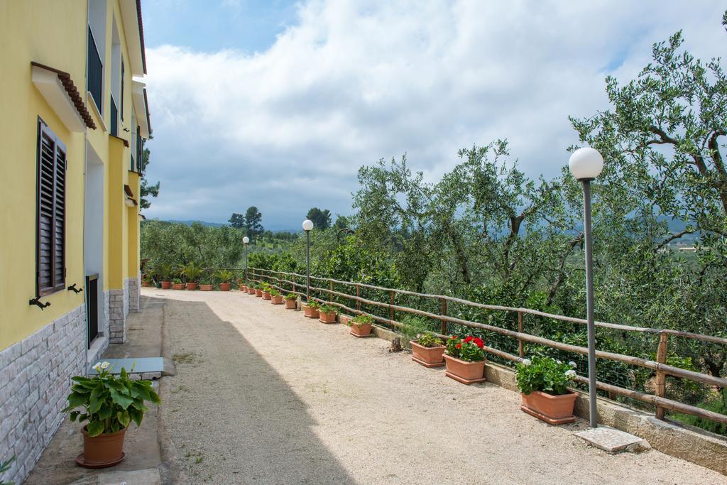 Alba Del Gargano Home 维耶斯泰 外观 照片