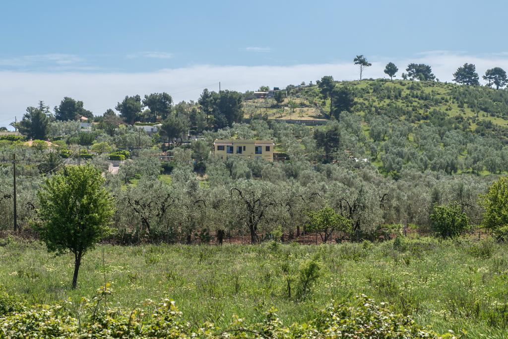 Alba Del Gargano Home 维耶斯泰 外观 照片